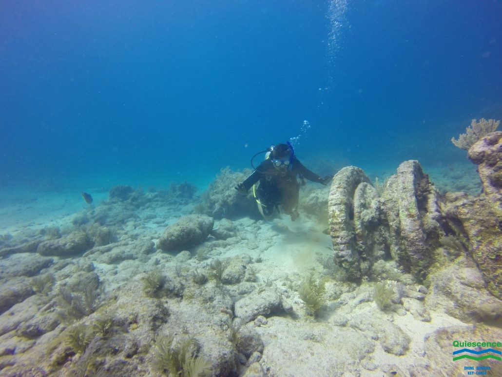 Diver in Key Largo