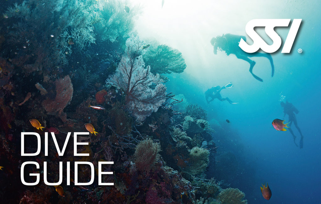 The SSI Dive Guide card