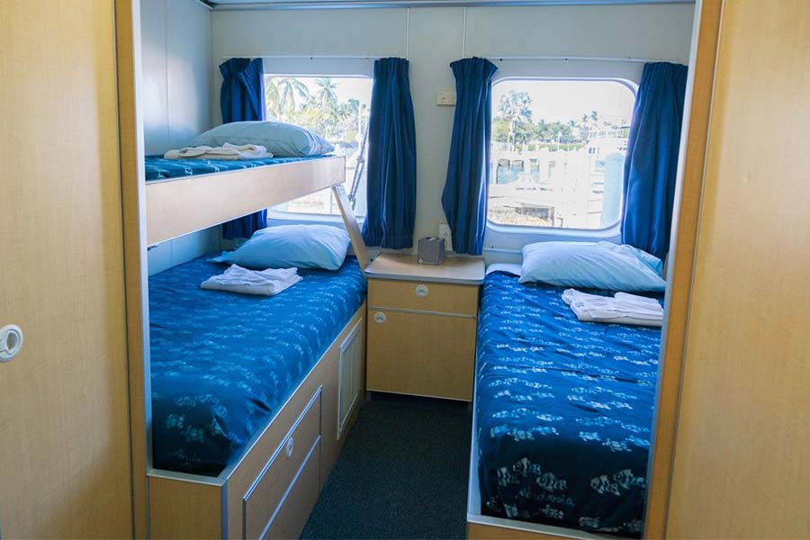An aqua cat room hosts three beds. Two twin beds on one wall and another twin on the other side. Two windows are in the back lighting up the room.