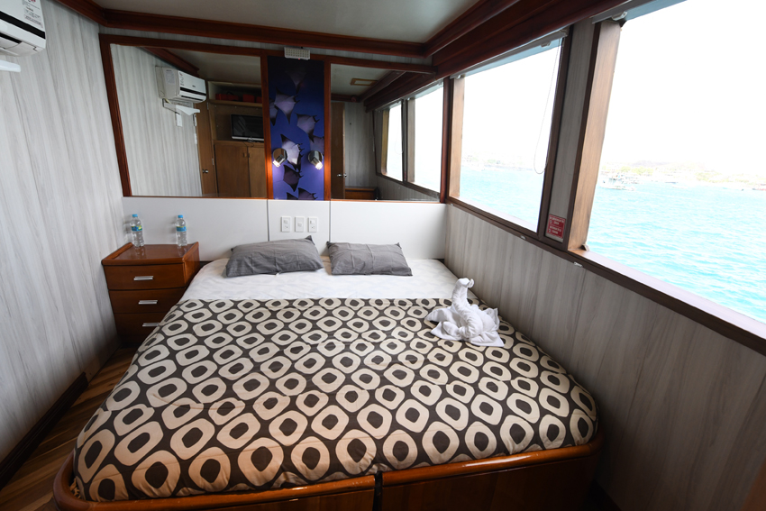 An example of the Humboldt Explorer's cabins. It has 1 king size bed and the room is lined with large windows. 