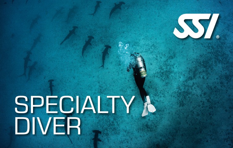 SSI Certification Card for Specialty Diver