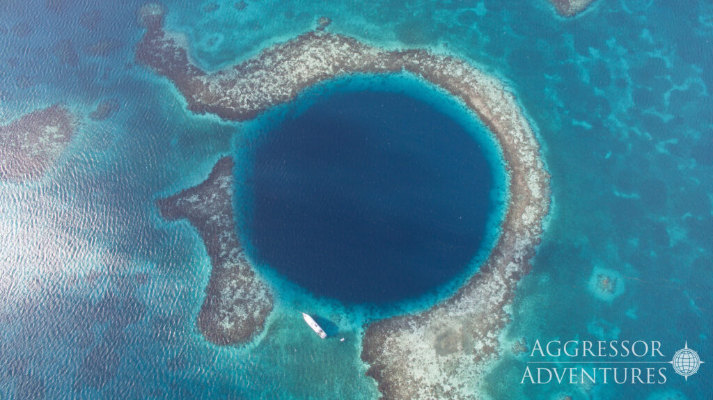 A blue hole is seen below in the ocean. The hole is a much darker color than the rest of the ocean and is perfectly round. 
