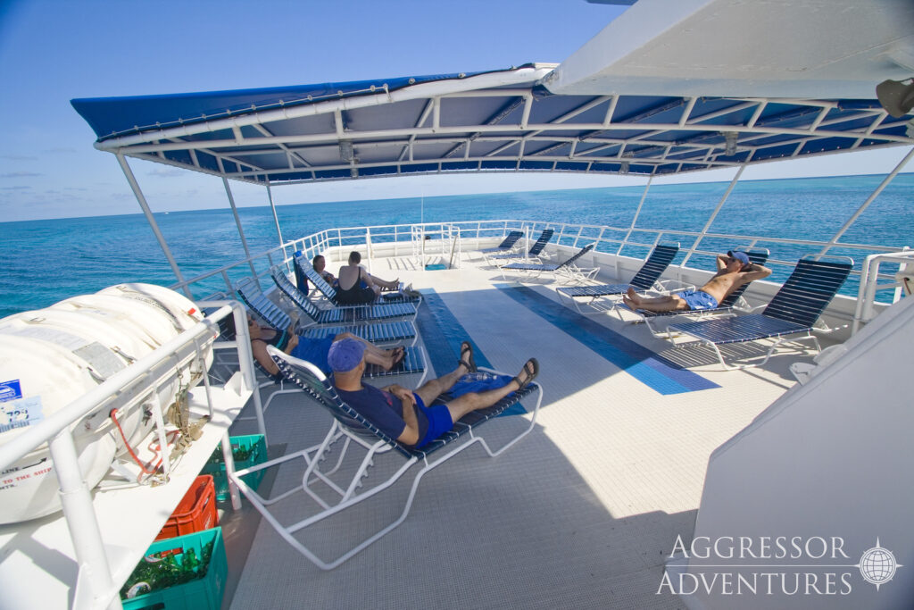 On the top deck of the liveaboard is a sun deck with part under a canopy. Several sun chairs are laid out with people reclining in them.