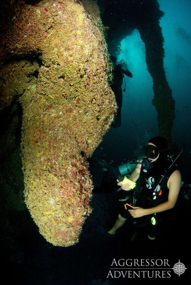 A diver is floating under the water beside a stalactite that is twice as large as them.
