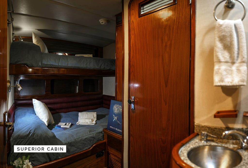 The solmar V superior cabin shows two beds and the door towards the bathroom. 